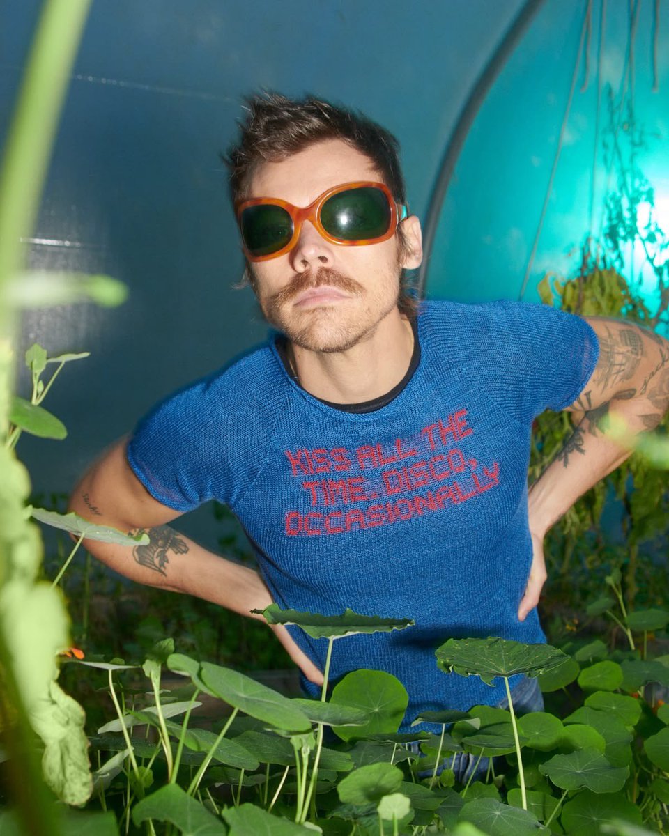 Harry Styles Brasil 🪩 tweet media