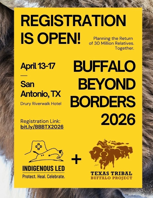 RightsOfNature's tweet photo. CDER's @ThomasLinzey @ Buffalo Beyond Borders 2026 Conference, April 13-17, San Antonio, TX. Indigenous Led and the Texas Tribal Buffalo Project are hosting the conference, focusing on buffalo restoration. #rightsofnature https://t.co/WfhIcz3IPt https://t.co/Vka2pSAjXl