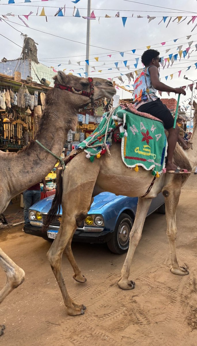 📲 | Storie de Flavio por IG:

Paseo por 🐪 
instagram.com/stories/flavio…