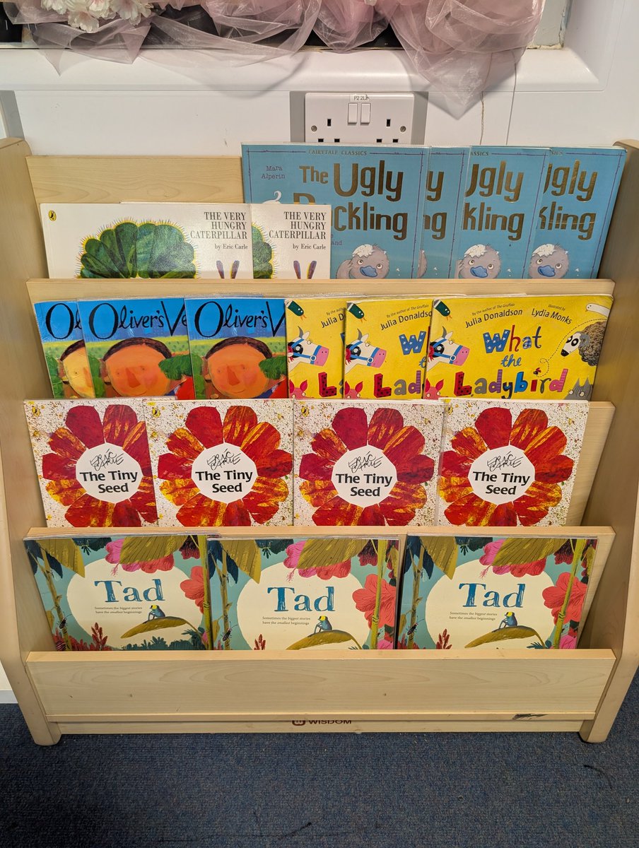 EYRoundhay's tweet image. Summer 1 ready with carefully chosen texts that reflect our language rich environment! Next half term we will be gaining an understanding of the world around us through science 🔍 🌱🐛🦋🪱🐞🐝🪰☀️🌦️🌤️ #eyfs #playislearning