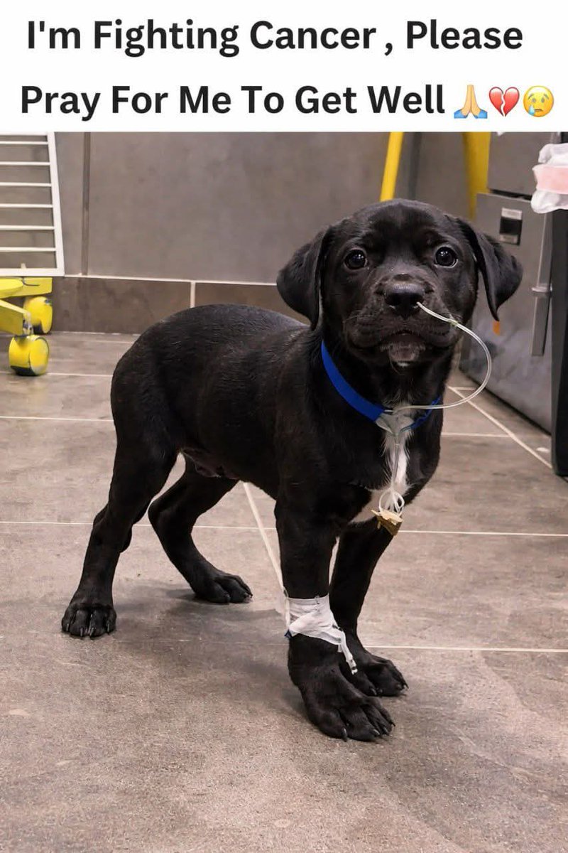 I'm fighting Cancer please 
Pray for me to get well 🙏🥺❤️‍🩹