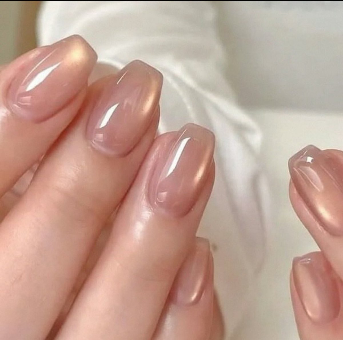 قلوري tweet media