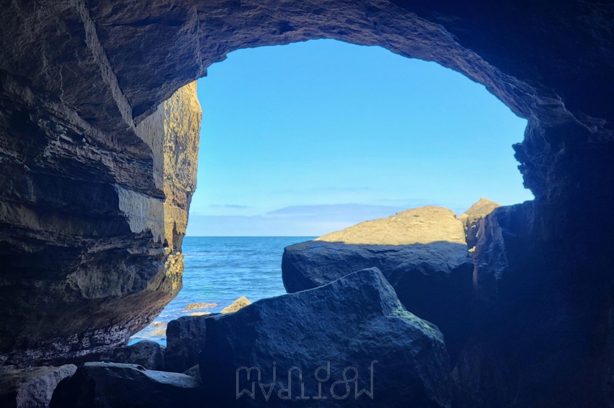 M O T T R A M tweet media