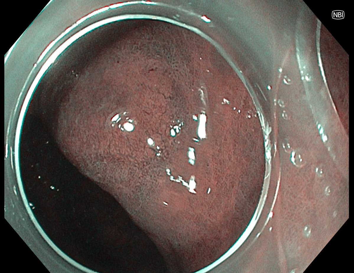 Aleksandar Gavric tweet media