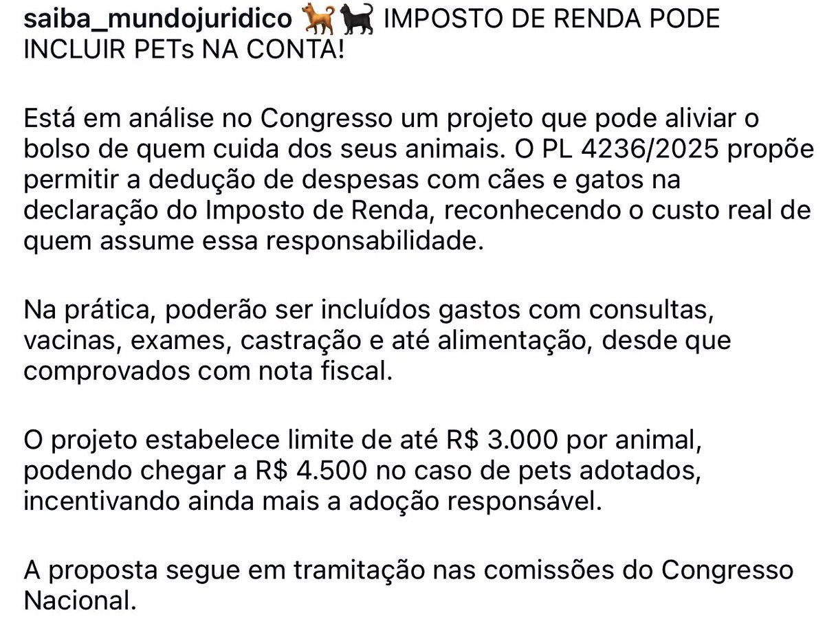 Virgínia Duailibe tweet media