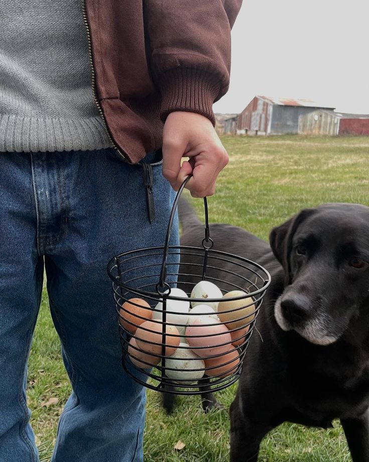 Emys 🦋 土 📖 Common Goal tweet media