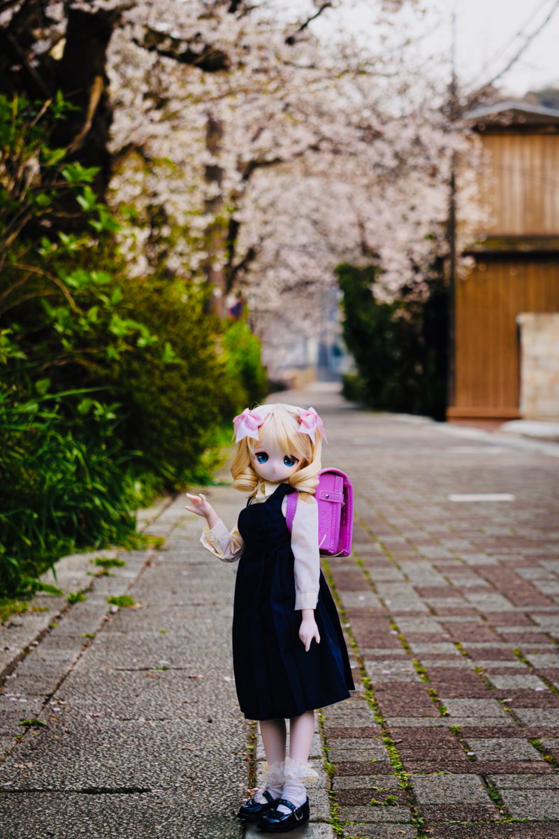 ありすがわ tweet media