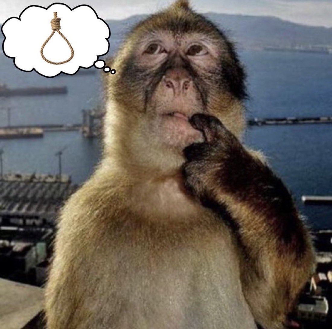 harulet ★ Tengo limit tweet media