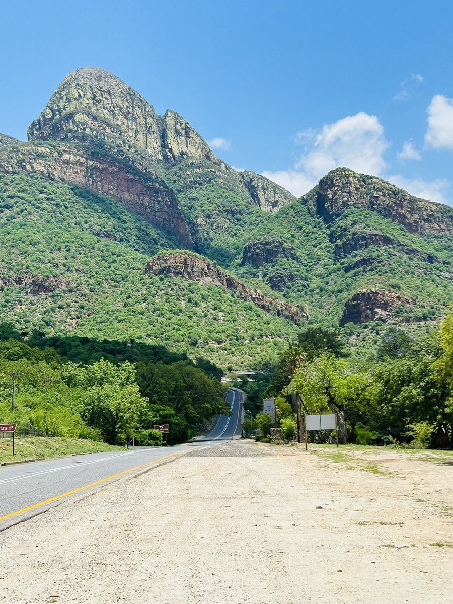 Thato Mahlake tweet media