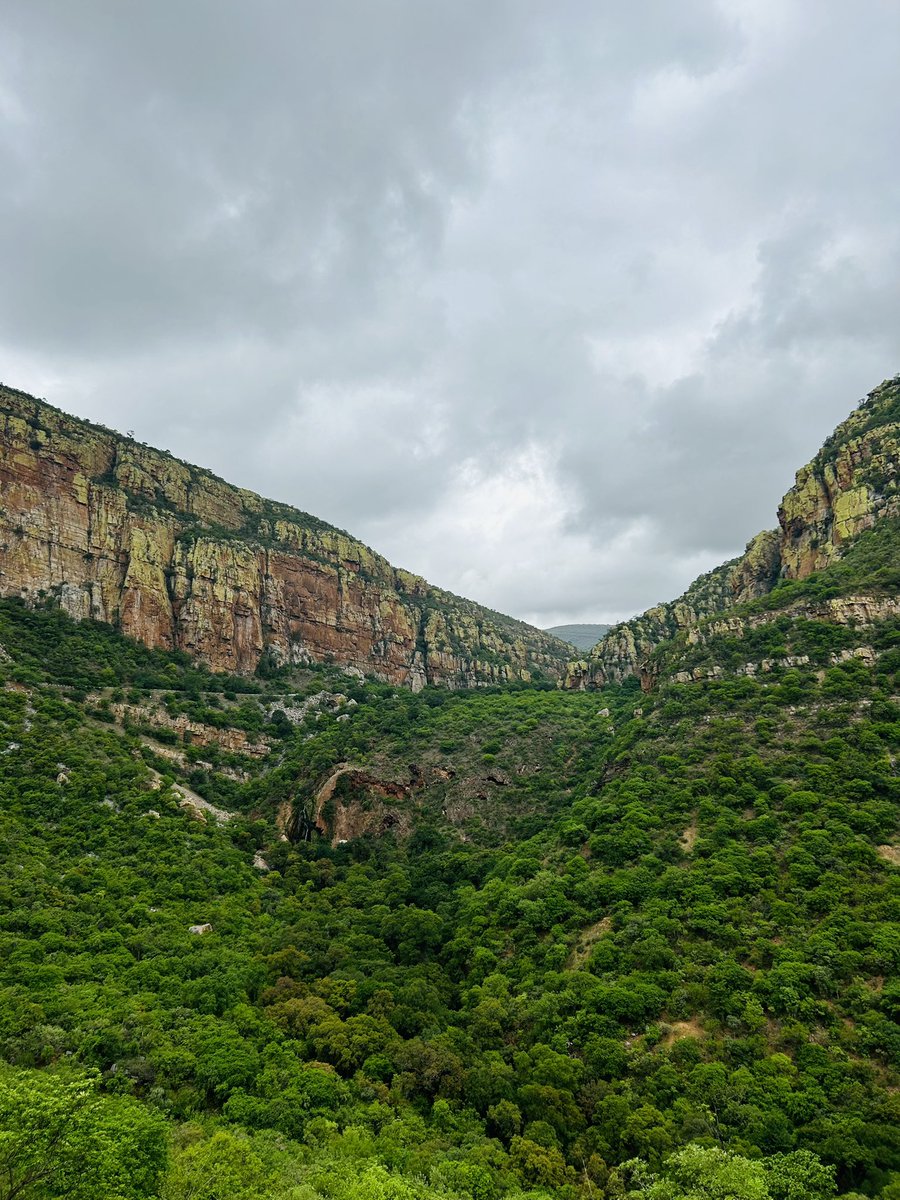 Thato Mahlake tweet media