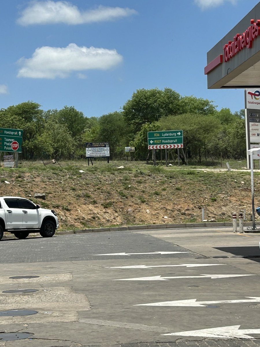 Thato Mahlake tweet media