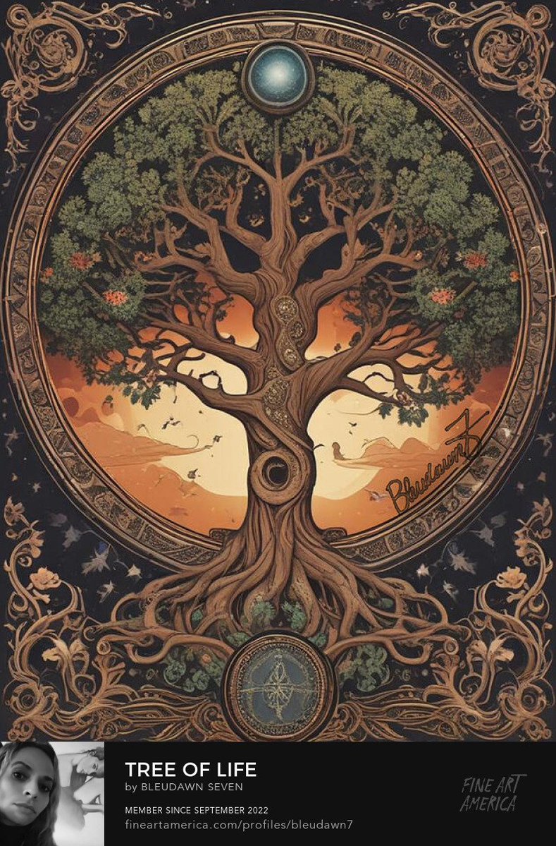 Nikki Dawn🌸.⋆*☆.•🦋 tweet media