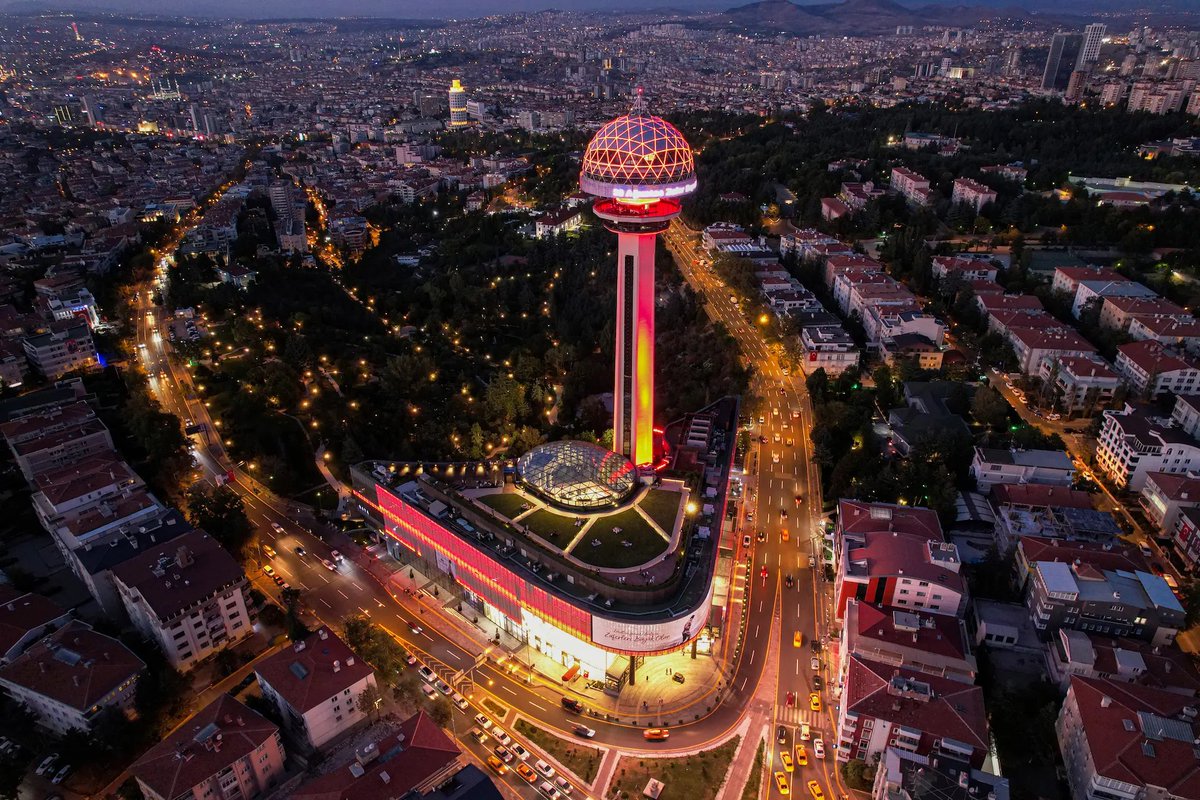 Bee Haber tweet media