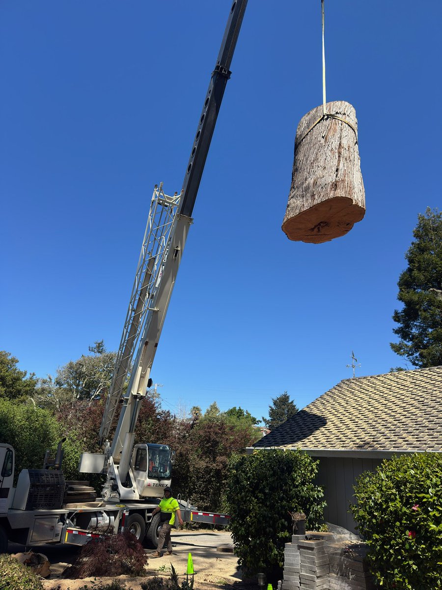 CommTreeServ's tweet photo. A massive dying Cypress threatening a home in Aptos, handled fast. 🚨🌲
From assessment to cleanup in just 48 hours, permits included. Safety comes first, always.
Got a risky tree? Don’t wait. Call CTS: (831) 763-2391

#TreeRemoval #SafetyFirst #Aptos #EmergencyWork https://t.co/T0TQZL8laB