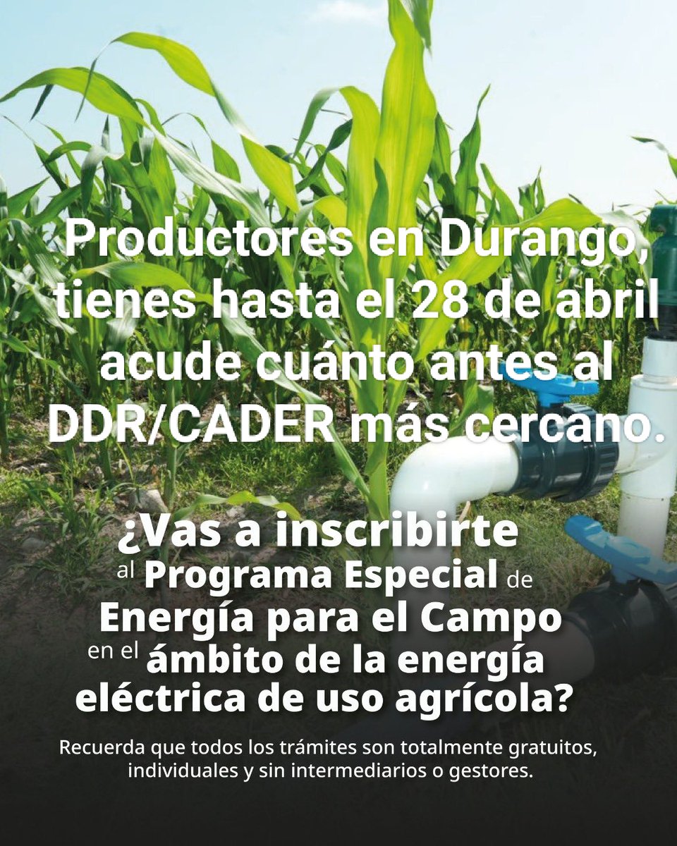 agricultura_dgo's tweet photo. Tic, toc, el tiempo corre.

Tienes hasta el 28 de abril para inscribirte al PEUA y obtener el subsidio en el pago a la CFE para uso agrícola,  garantiza tarifas de estímulo para el bombeo y rebombeo de agua en riego agrícola.

@Claudiashein  @JulioBerdegue  @RaulSalgadoSV https://t.co/j3owkmC5Kc