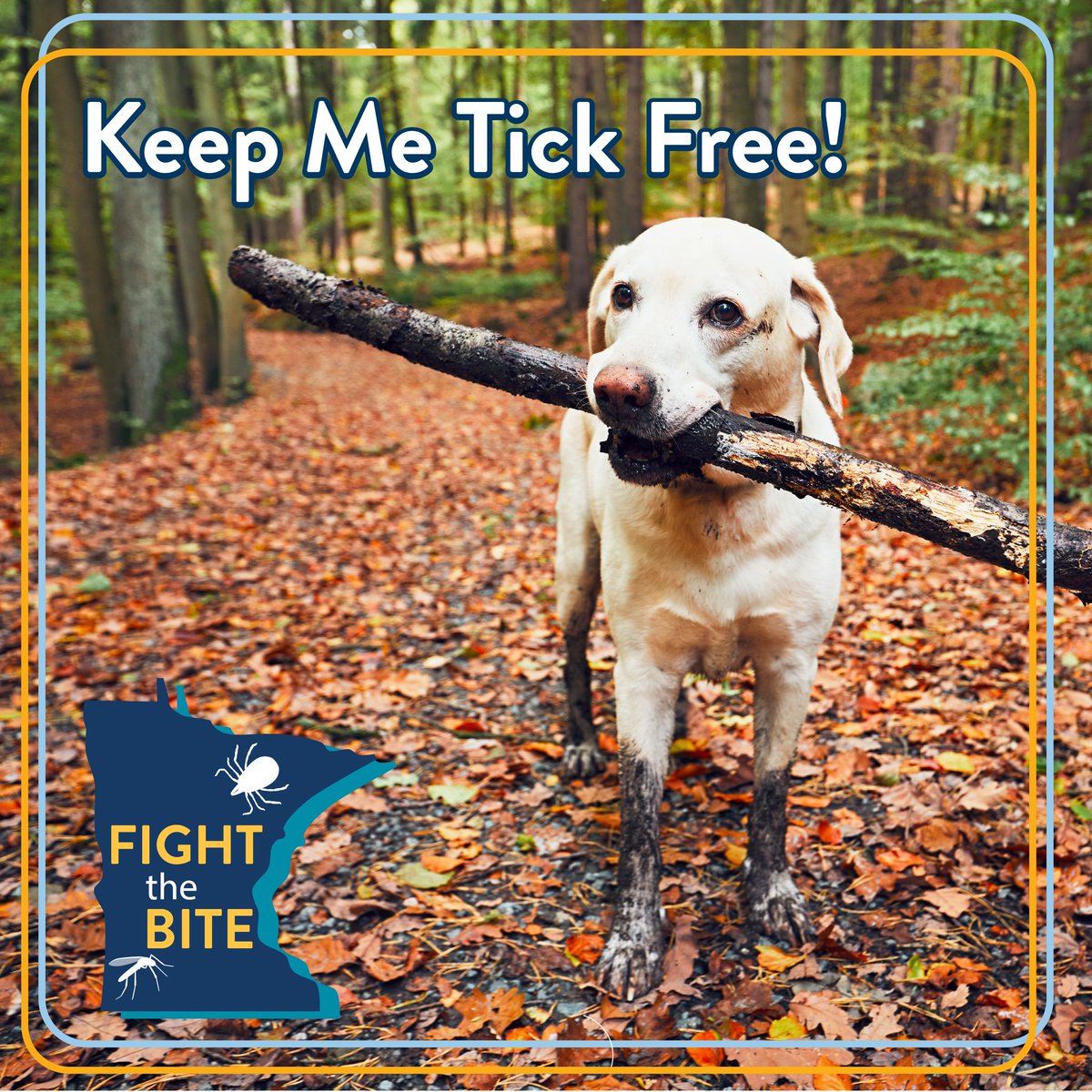 mnhealth tweet media