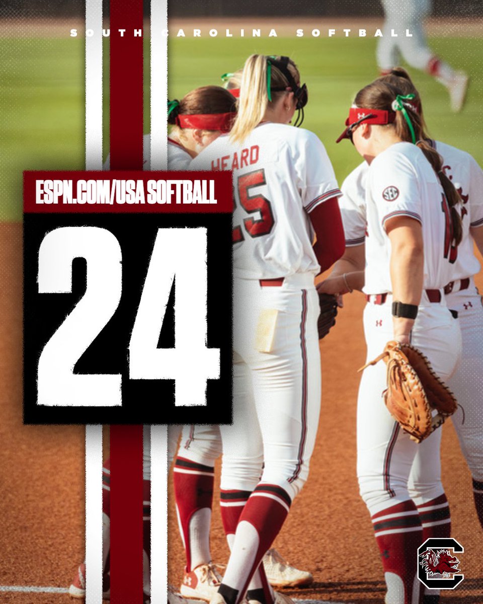 South Carolina Softball tweet media