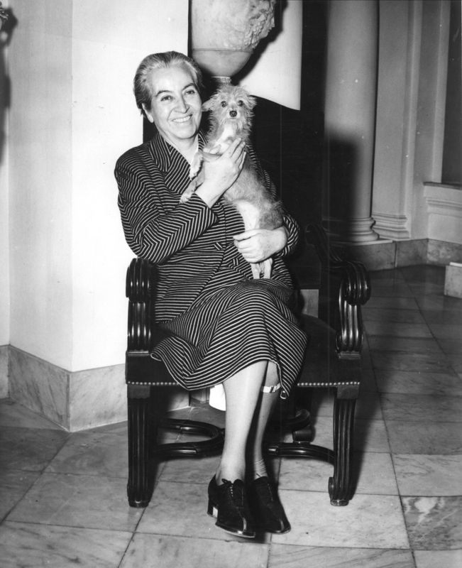 Nicolás Rojas Inostroza tweet media