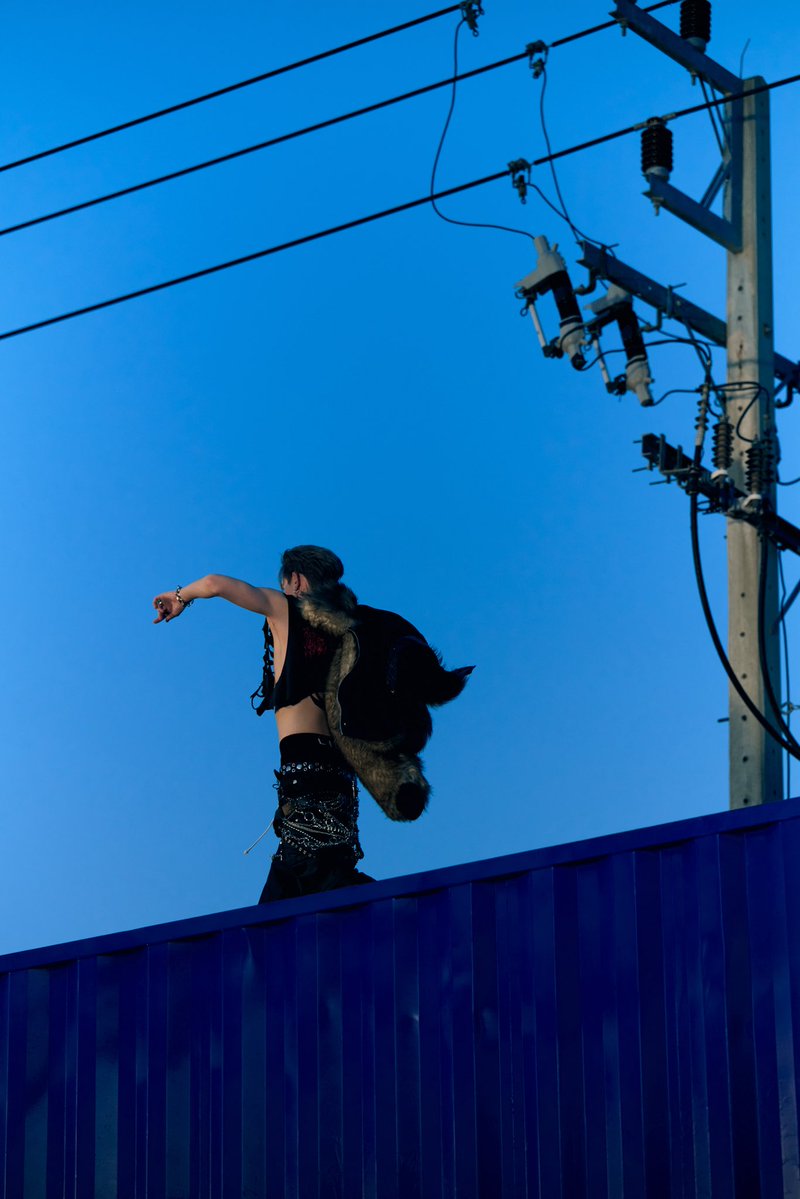 ฮงชิโฮชิ tweet media