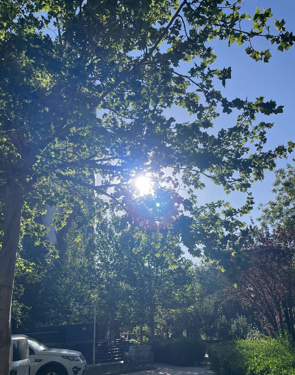 black sheep tweet media