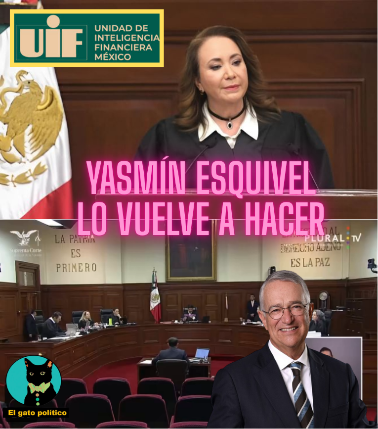 El gato político tweet media