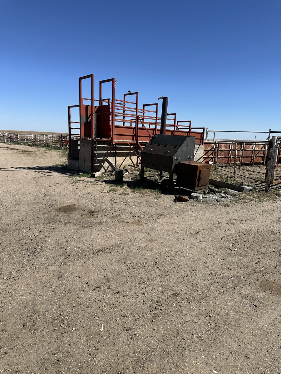 Walter “Hebrew Hammer” Sobchak tweet media