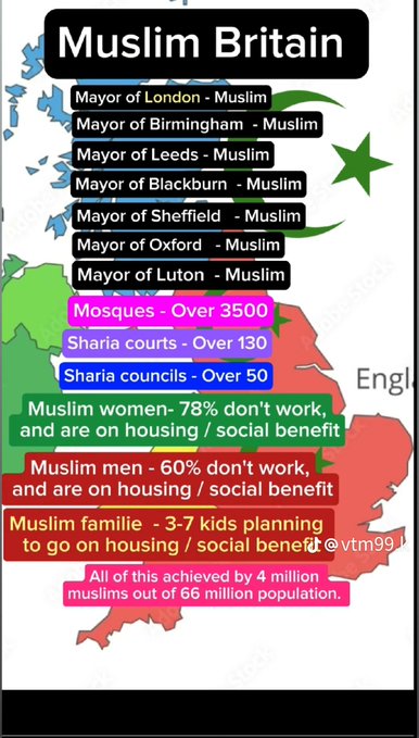 Jack Fortunato tweet media