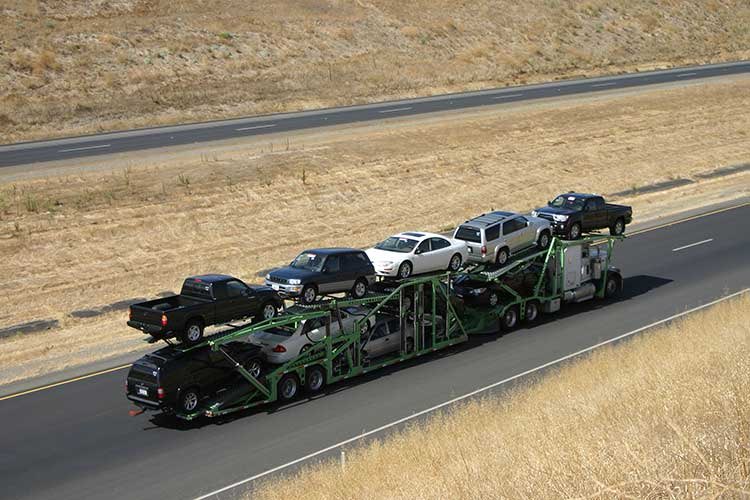 fatih pakdamar tweet media