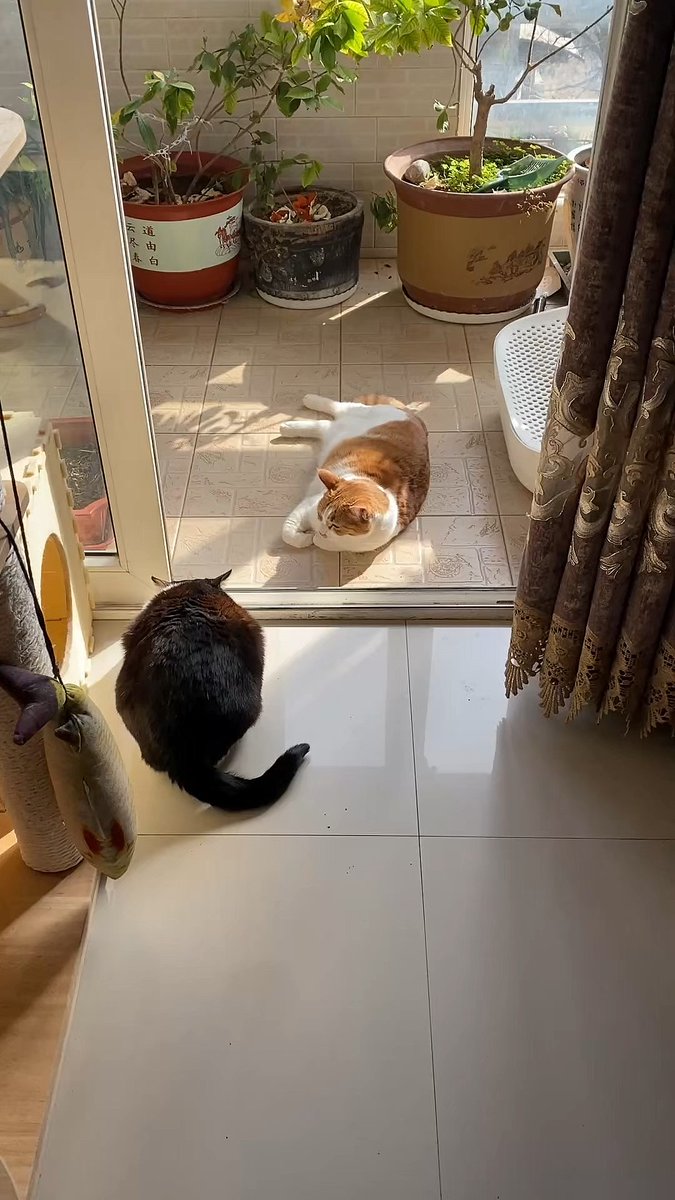 Rohit Kumar tweet media