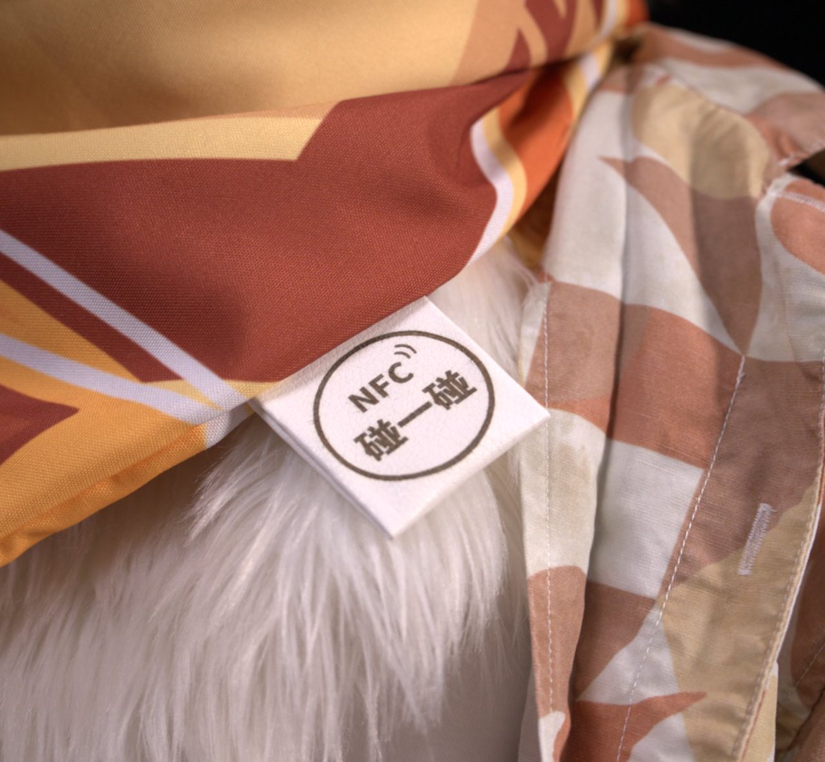 向量_Vector tweet media