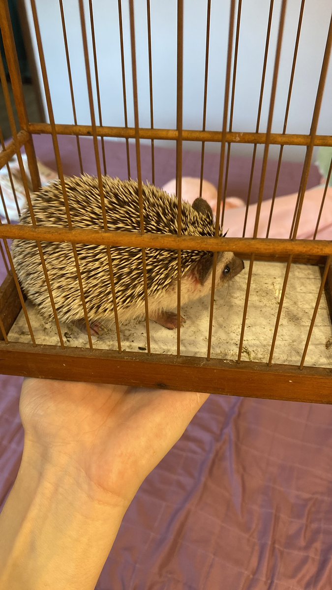 Jupter⁷; tweet media