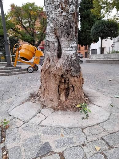 PEDRO CASTAÑO GARCÍA tweet media