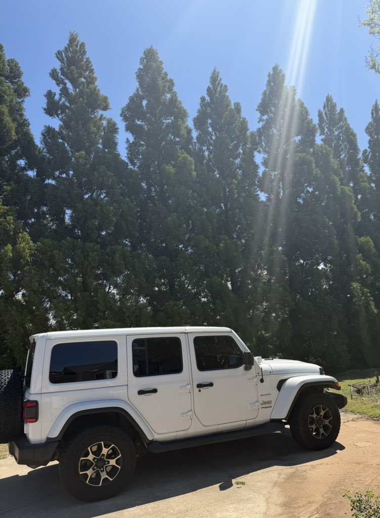 Calliope ⚡️ Jane tweet media