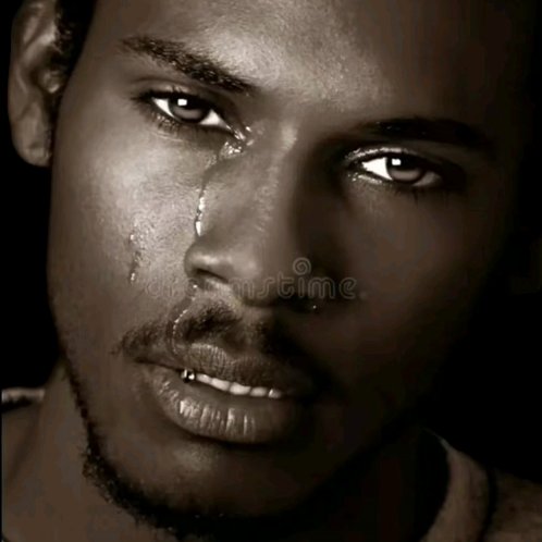 mateotorres tweet media