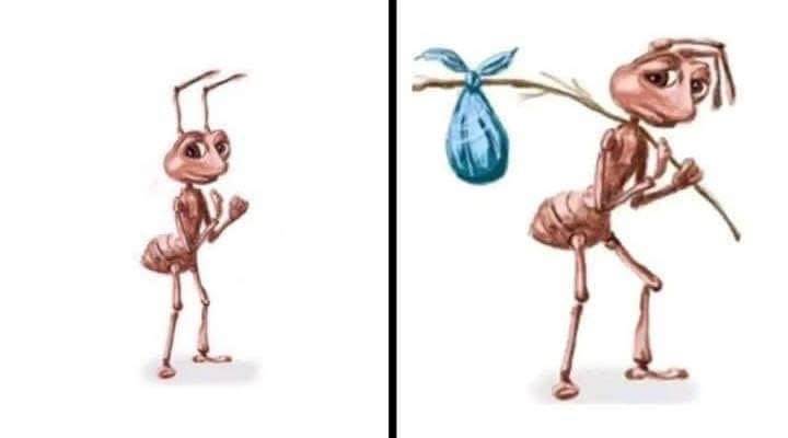 nazz ; GREENGREEN tweet media