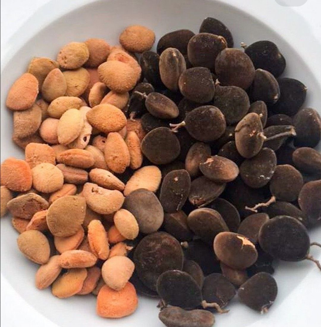 Adwoah✨❤️ tweet media