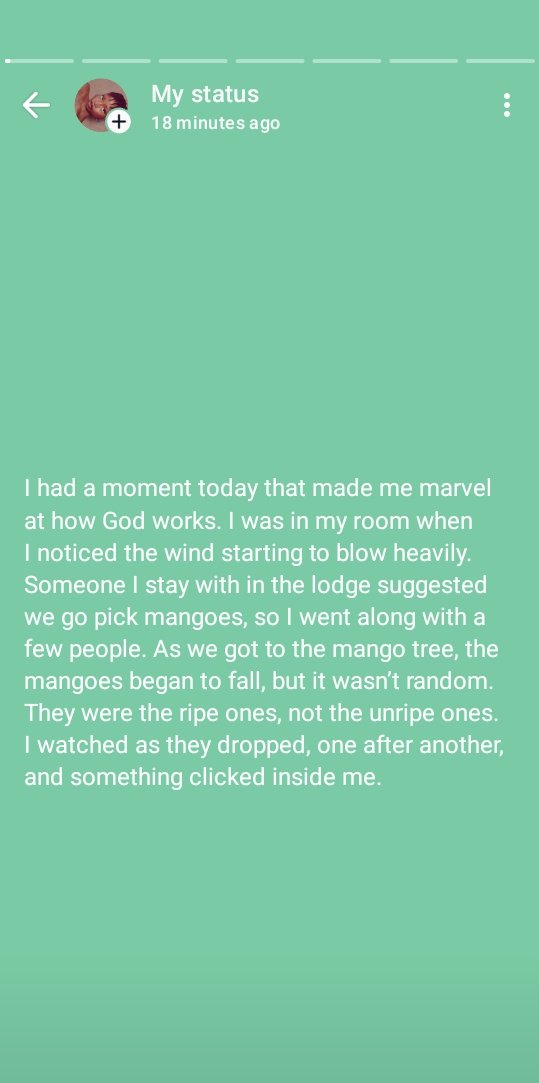 Omo Alásè tweet media