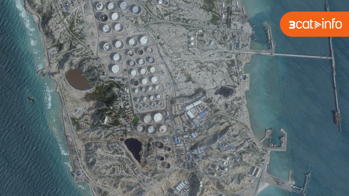 3CatInfo tweet media