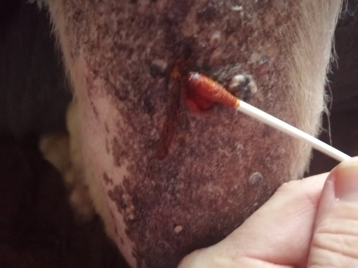 Maria Anna Fundacja Zdążyć do domu tweet media