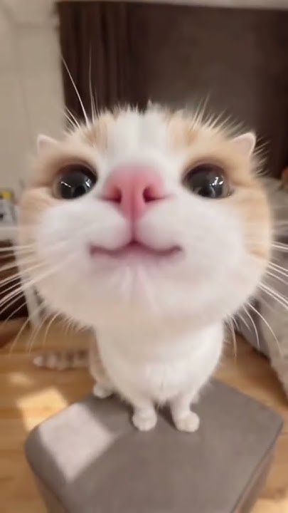 bibble ❄️ tweet media