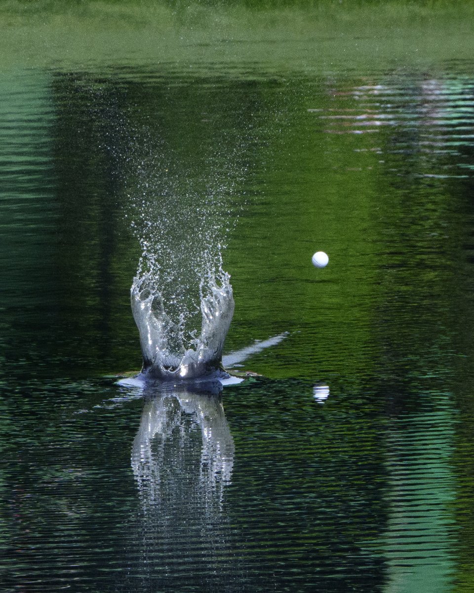 The Masters tweet media