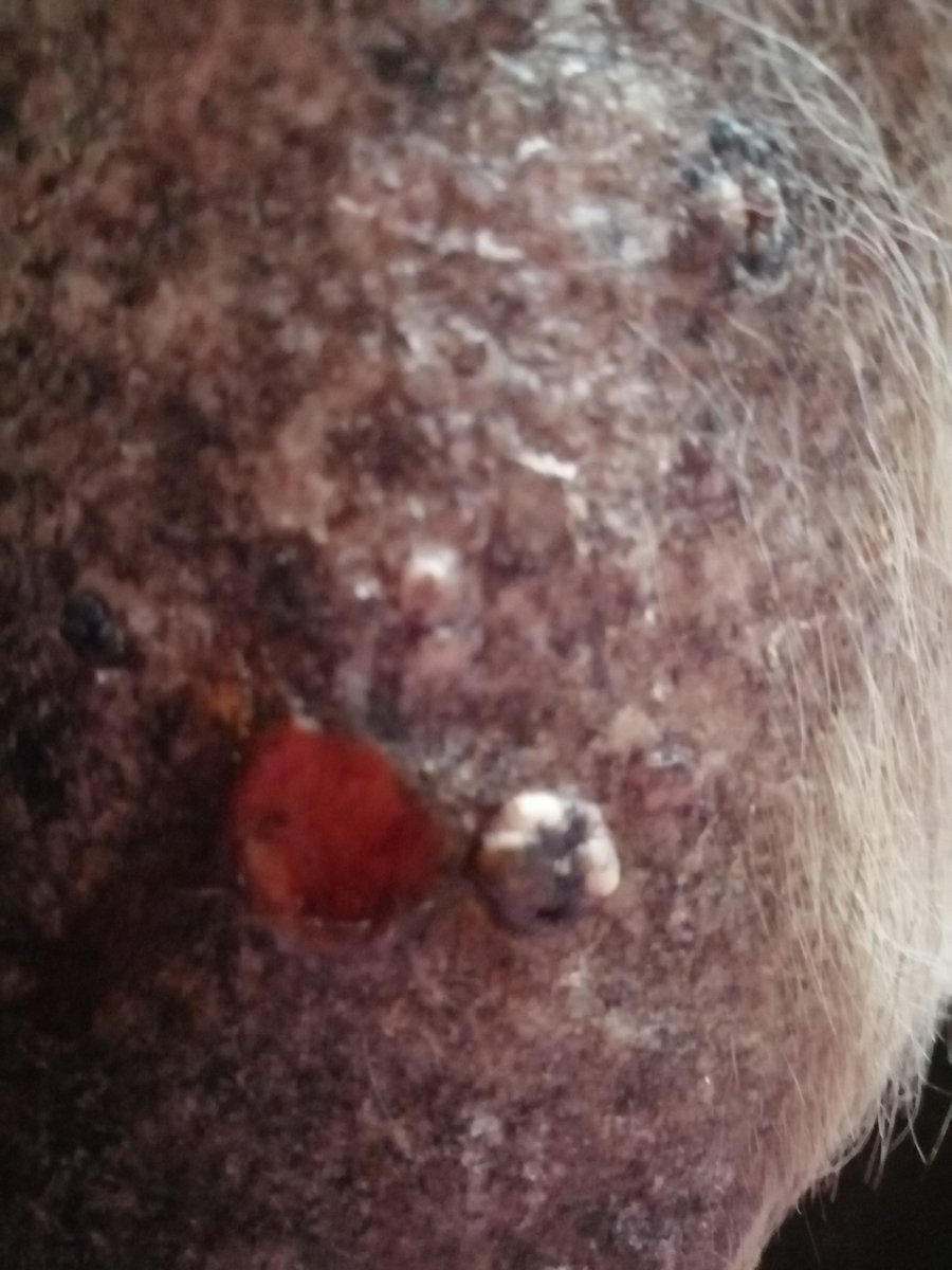 Maria Anna Fundacja Zdążyć do domu tweet media