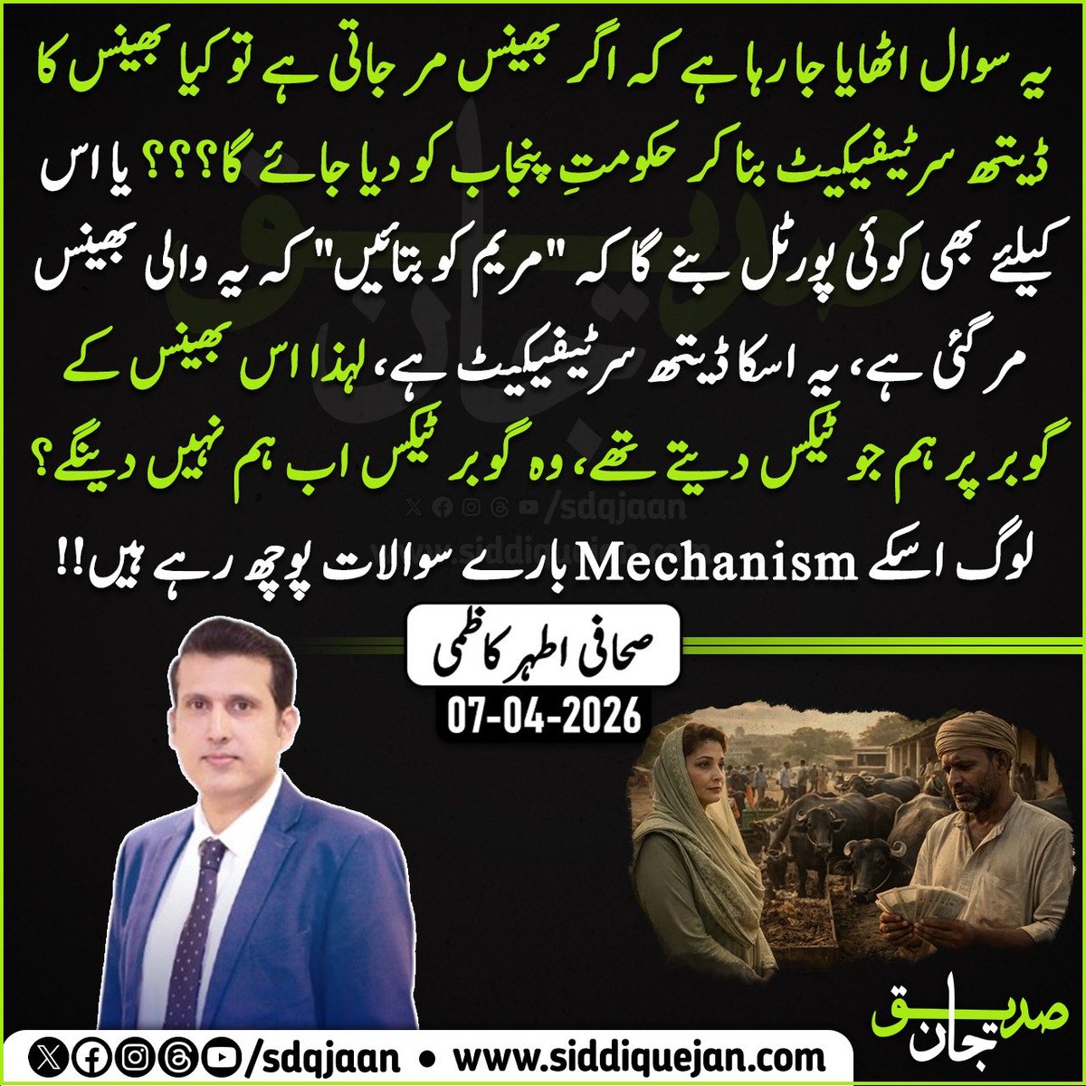 یہ سوال اٹھایا جا رہا ہے کہ اگر بھینس مر جاتی ہے تو کیا بھینس کا ڈیتھ سرٹیفیکیٹ بنا کر حکومتِ پنجاب کو دیا جائے گا؟ یا اس کیلئے بھی کوئی پورٹل بنے گا کہ "مریم کو بتائیں" کہ یہ والی بھینس مر گئی ہے، یہ اسکا ڈیتھ سرٹیفیکیٹ ہے، لہذا اس بھینس کے گوبر پر ہم جو ٹیکس دیتے تھے، وہ گوبر