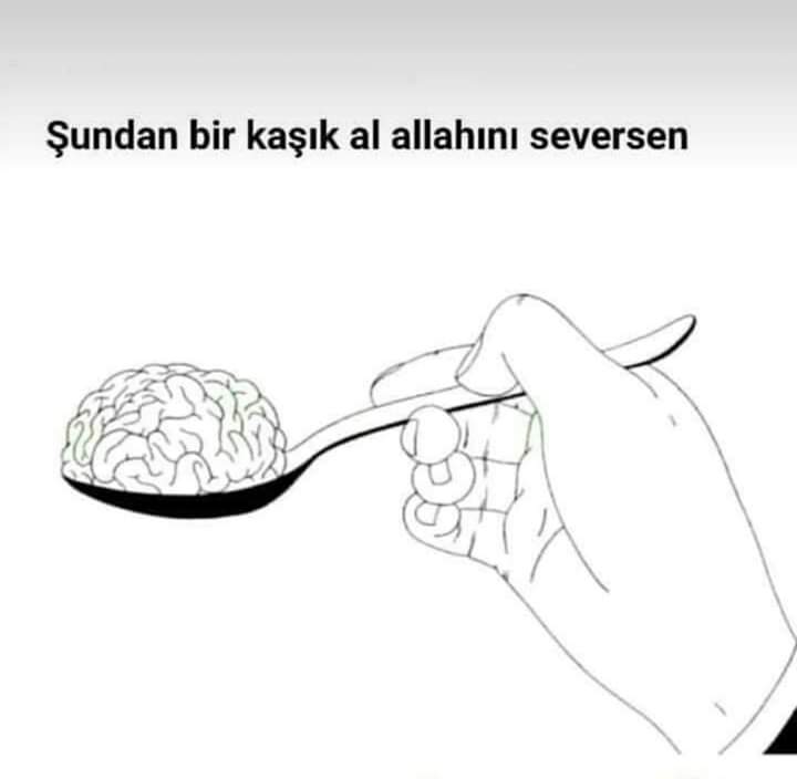 soner yılmaz⭐⭐⭐⭐⭐ tweet media