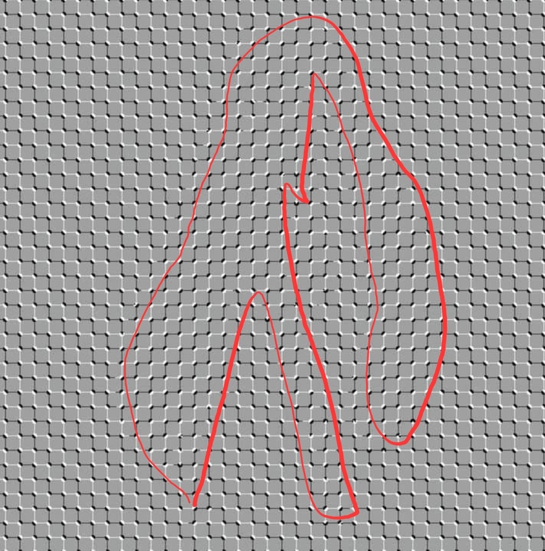 USB 🇵🇷 tweet media