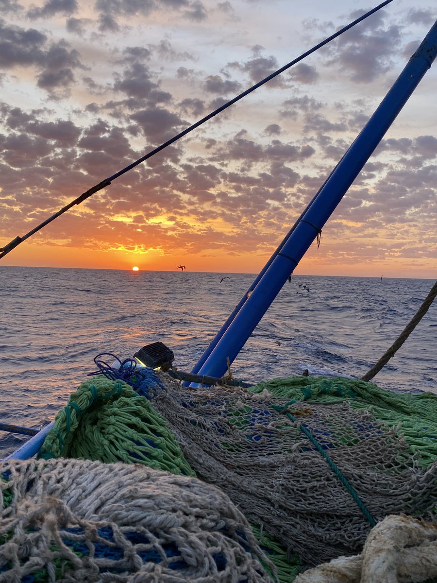 A𝙺𝚁𝙰𝙼 ⚓️ tweet media