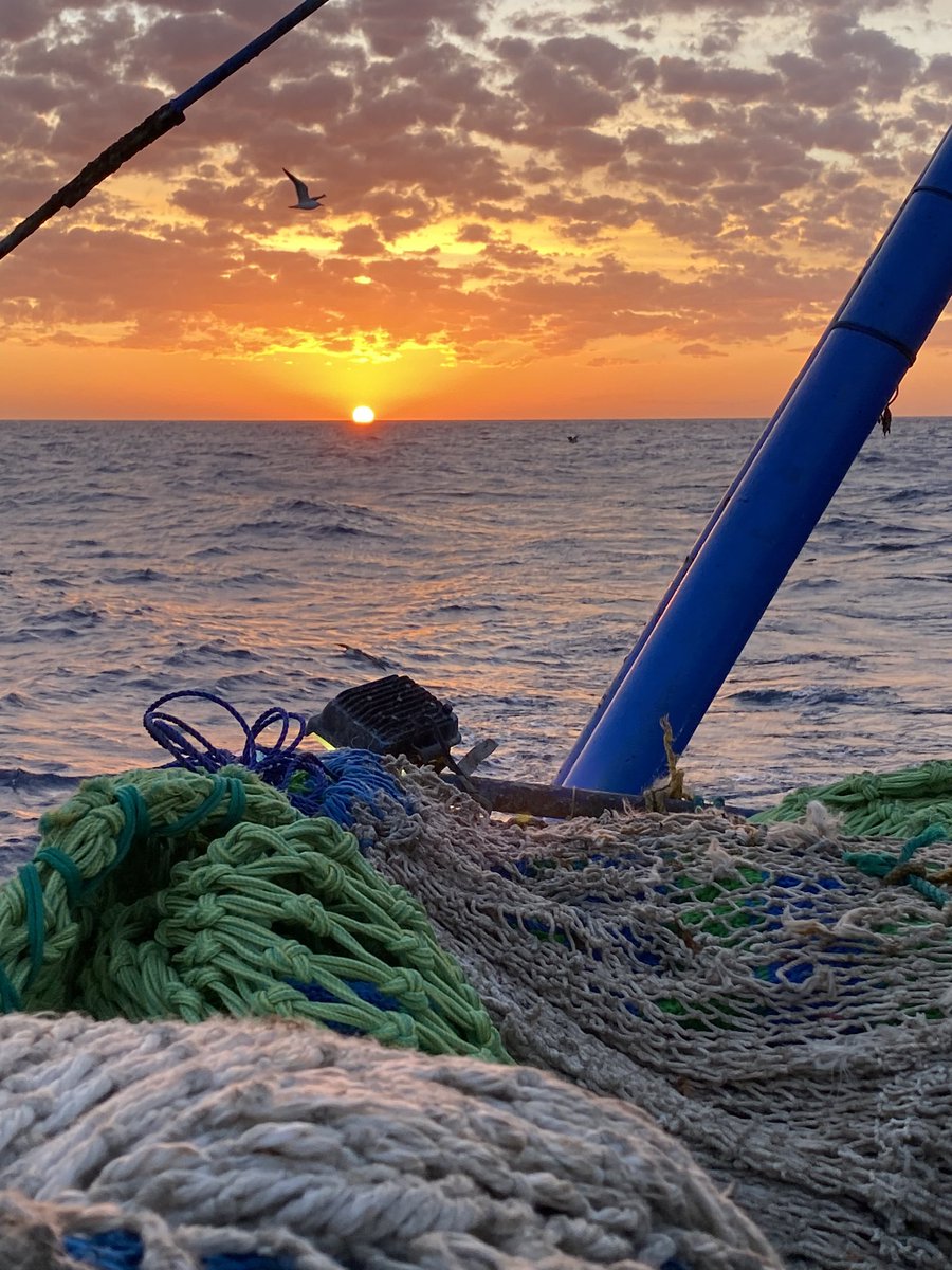A𝙺𝚁𝙰𝙼 ⚓️ tweet media