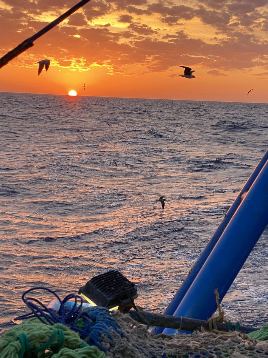 A𝙺𝚁𝙰𝙼 ⚓️ tweet media