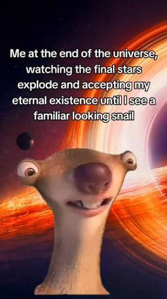 Allen M Jarod Traner tweet media