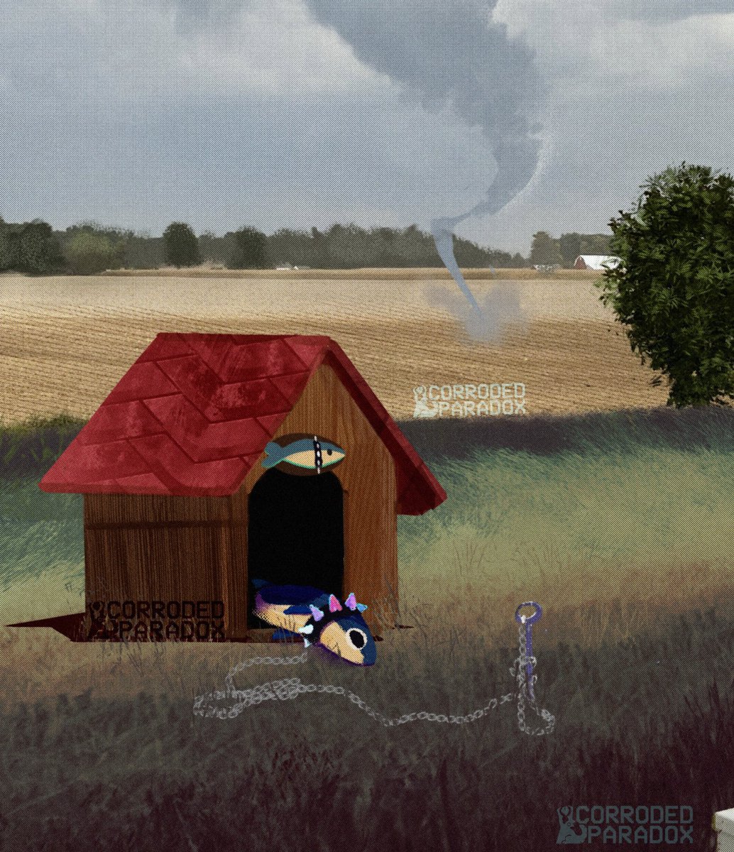 Paradox 🫀DROP LIVE tweet media